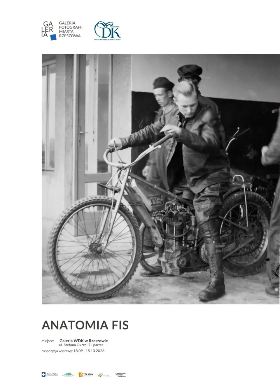 Anatomia FIS