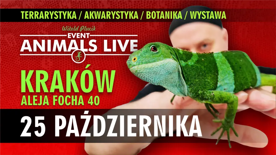 Animals Live KRAKÓW - 25 Października 2026 - TERRARYSTYKA & AKWARYSTYKA & BOTANIKA & WYSTAWA