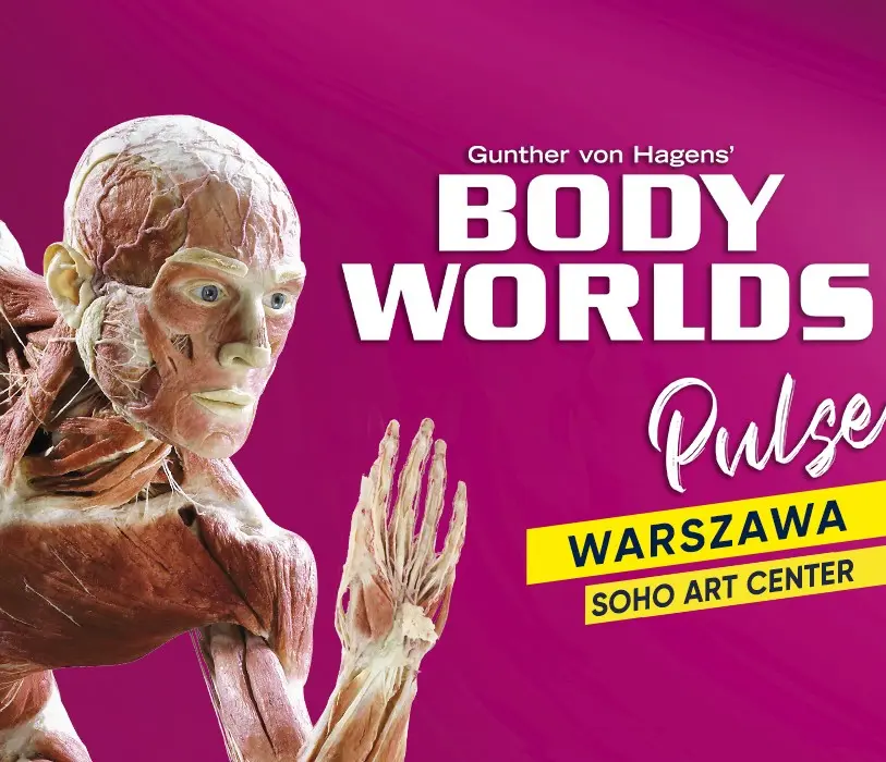 Body Worlds Pulse – wystawa
