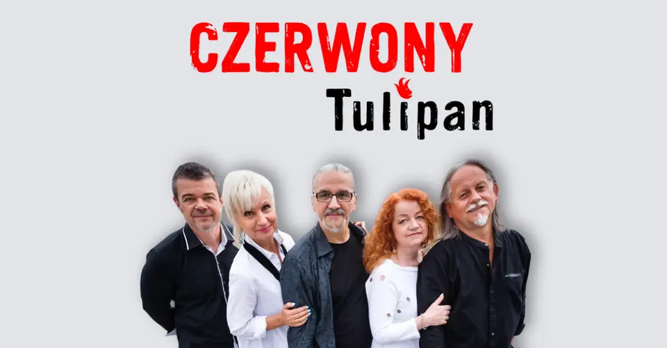 Czerwony Tulipan