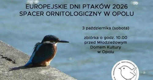 Europejskie Dni Ptaków 2026