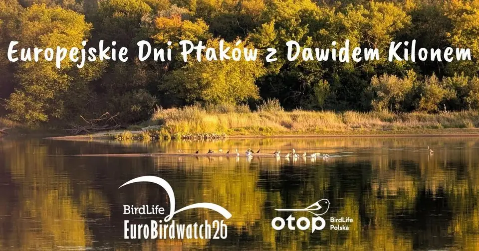 Europejskie Dni Ptaków z Dawidem Kilonem - spacer nad Wisłą