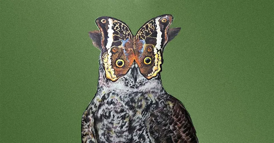 Inspirowani naturą