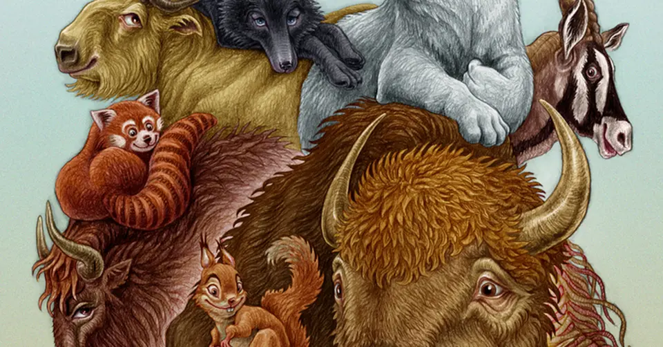 Którędy do Yellowstone? - spektakl dla dzieci