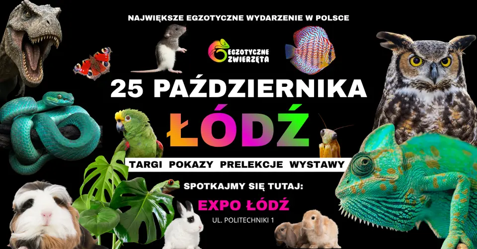 ŁÓDŹ 25 PAŹDZIERNIKA - EGZOTYCZNE ZWIERZĘTA
