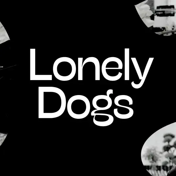 Lonely Dogs