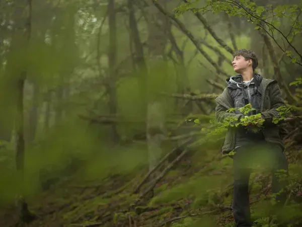 Pieśni lasu | film All About Freedom Festival