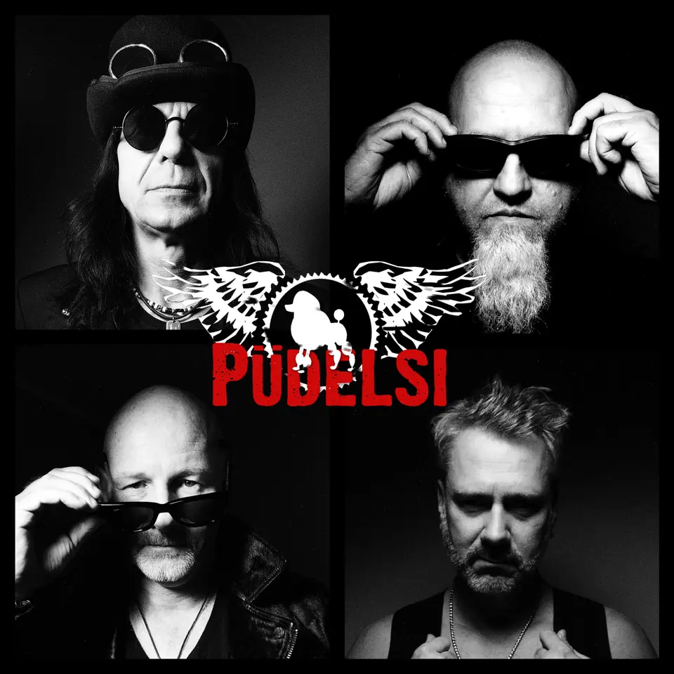 PUDELSI