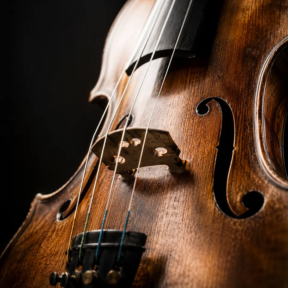 Recital skrzypcowy laureata konkursu skrzypcowego im.Wieniawskiego