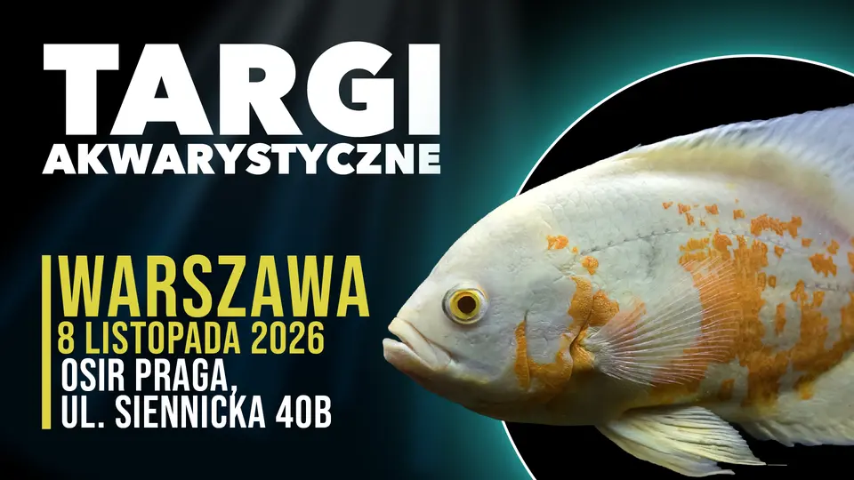 Targi Akwarystyczne Warszawa