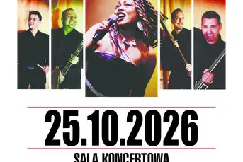 Tina Turner Show