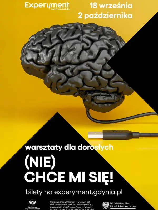 Warsztaty dla dorosłych. (Nie) chce mi się