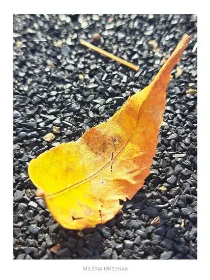 Wystawa fotografii Widziane z Targówka