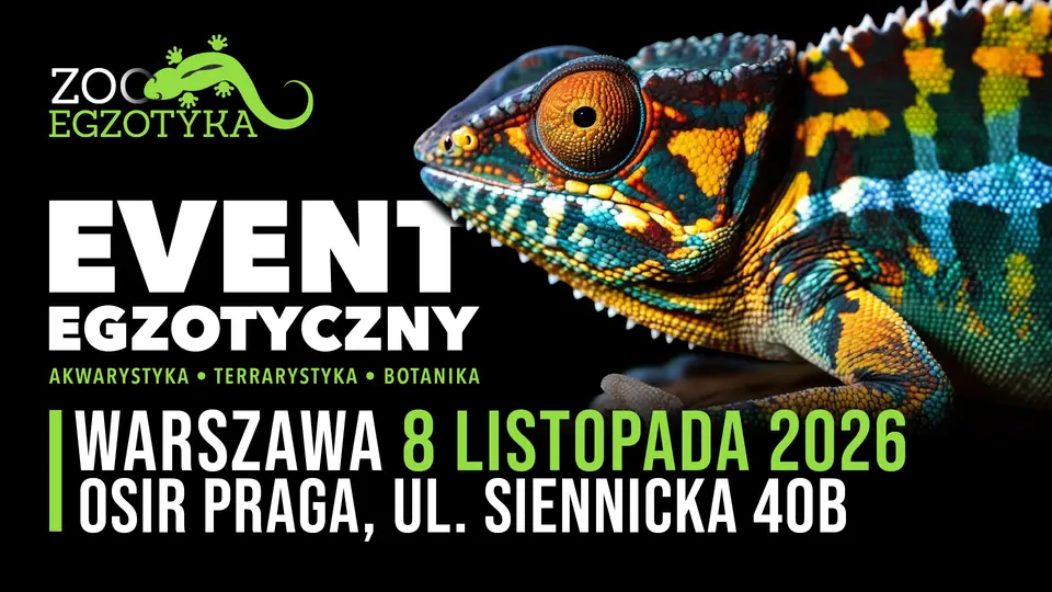 ZooEgzotyka Warszawa